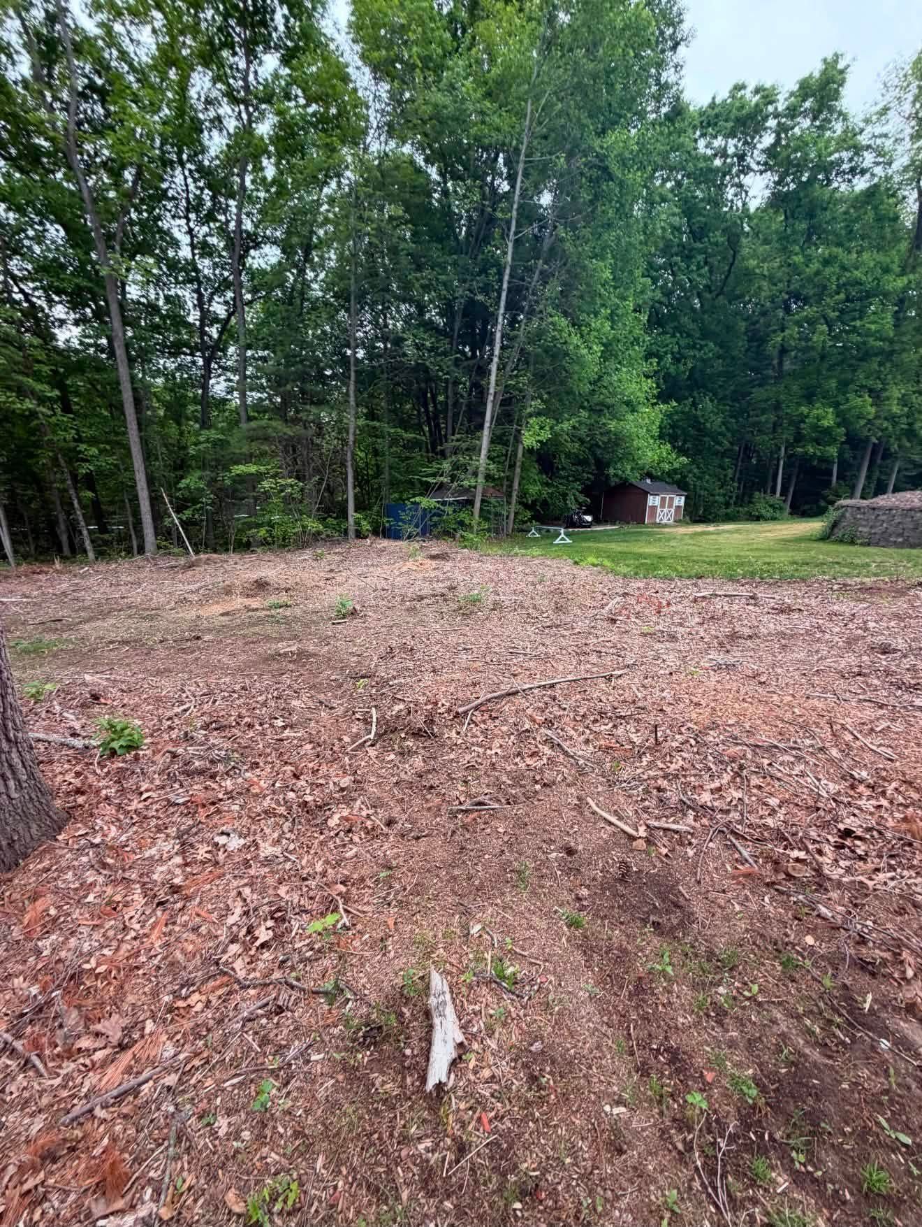 Cleared dirt lot beside a wooded area, with trees and a small shed in the background.