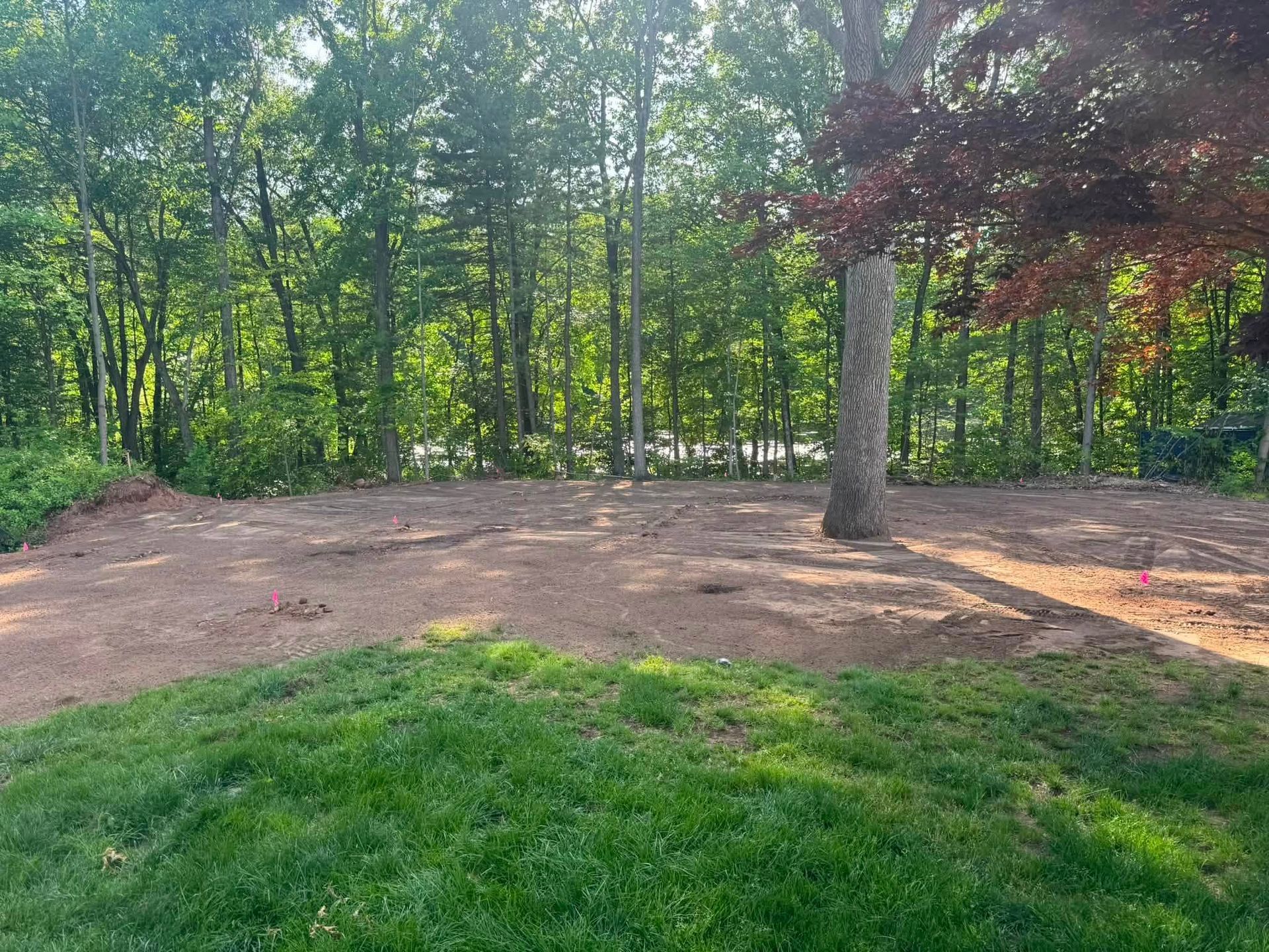 Grassy yard with a dirt clearing, surrounded by trees in a wooded area.