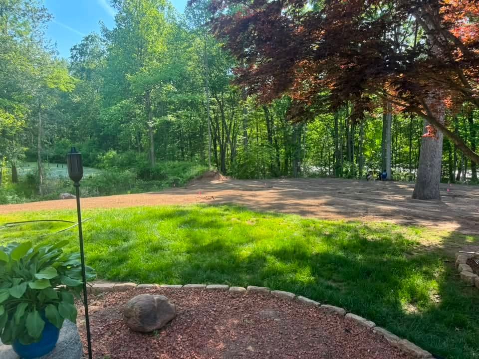 Sunny wooded park with a dirt path, green grass, and trees in the background