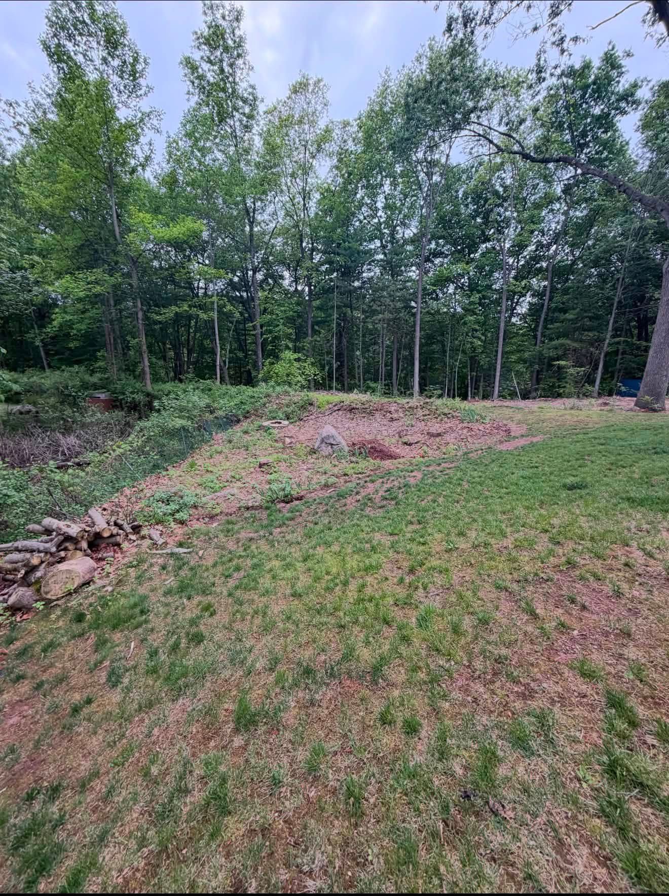Grassy slope beside a wooded area, with a dirt mound and tall trees in the background.