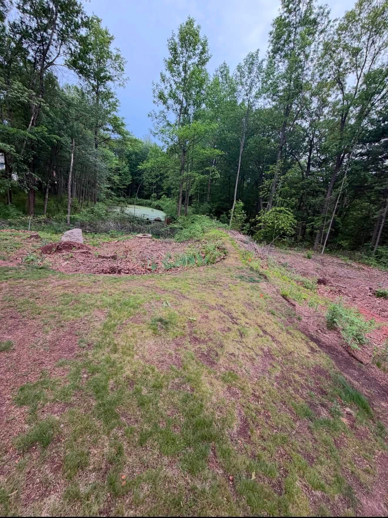Muddy grassy path through a wooded area with pink wildflowers and dense green trees under a cloudy sky