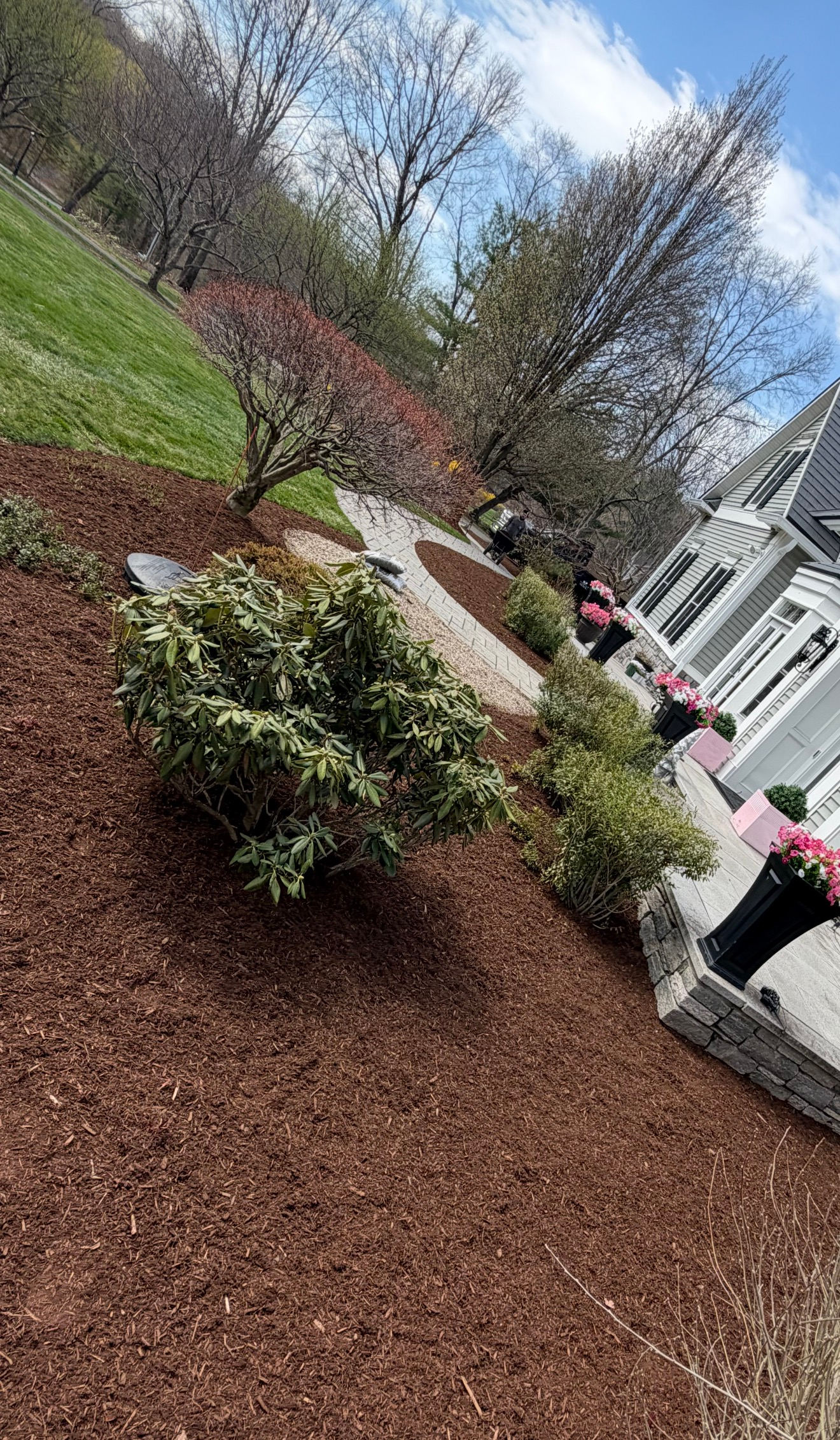 Landscaped garden path with shrubs, mulch, and white house in the background under a cloudy sky