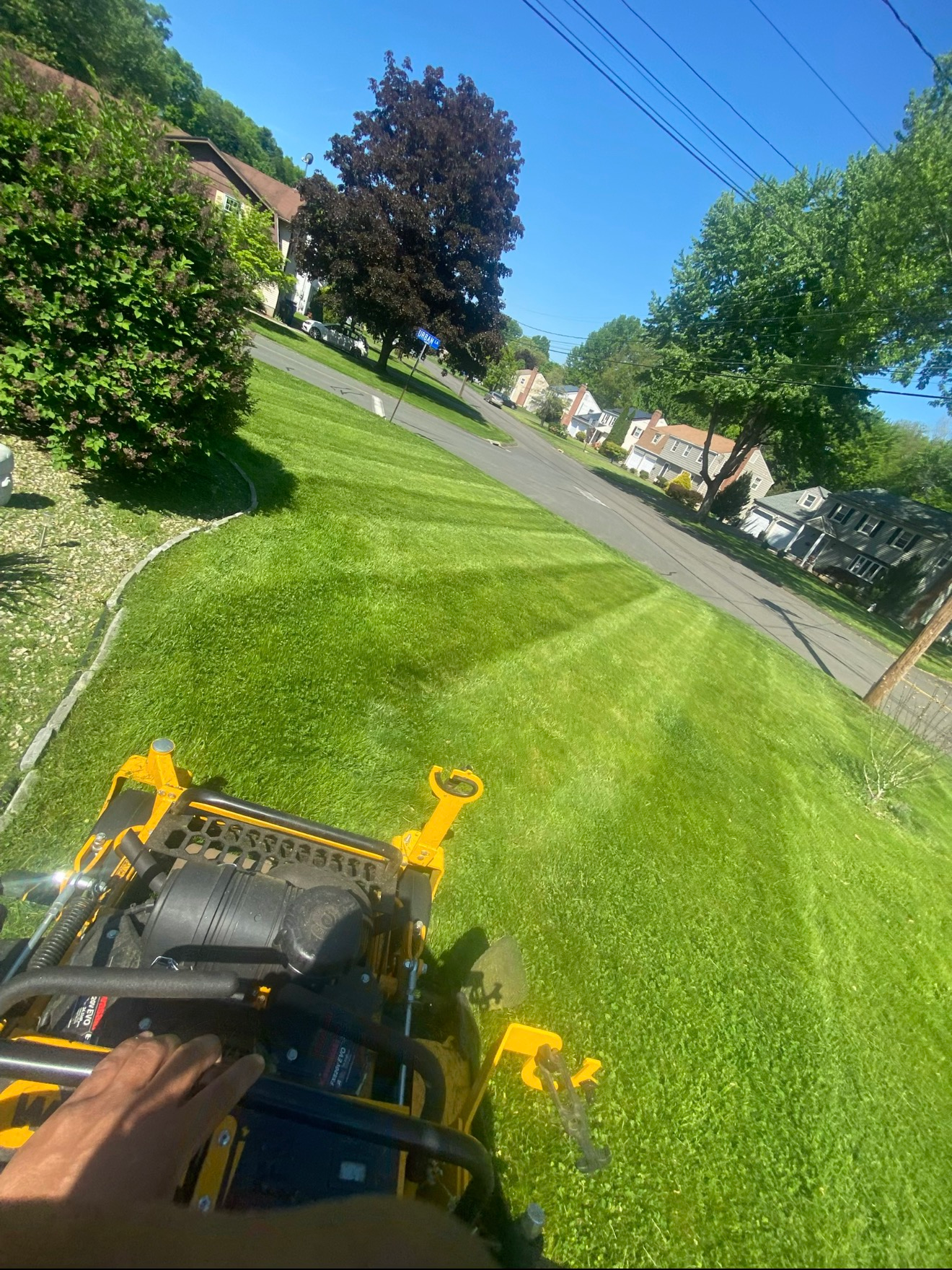Lawn mower cutting a bright green suburban lawn on a sunny day.