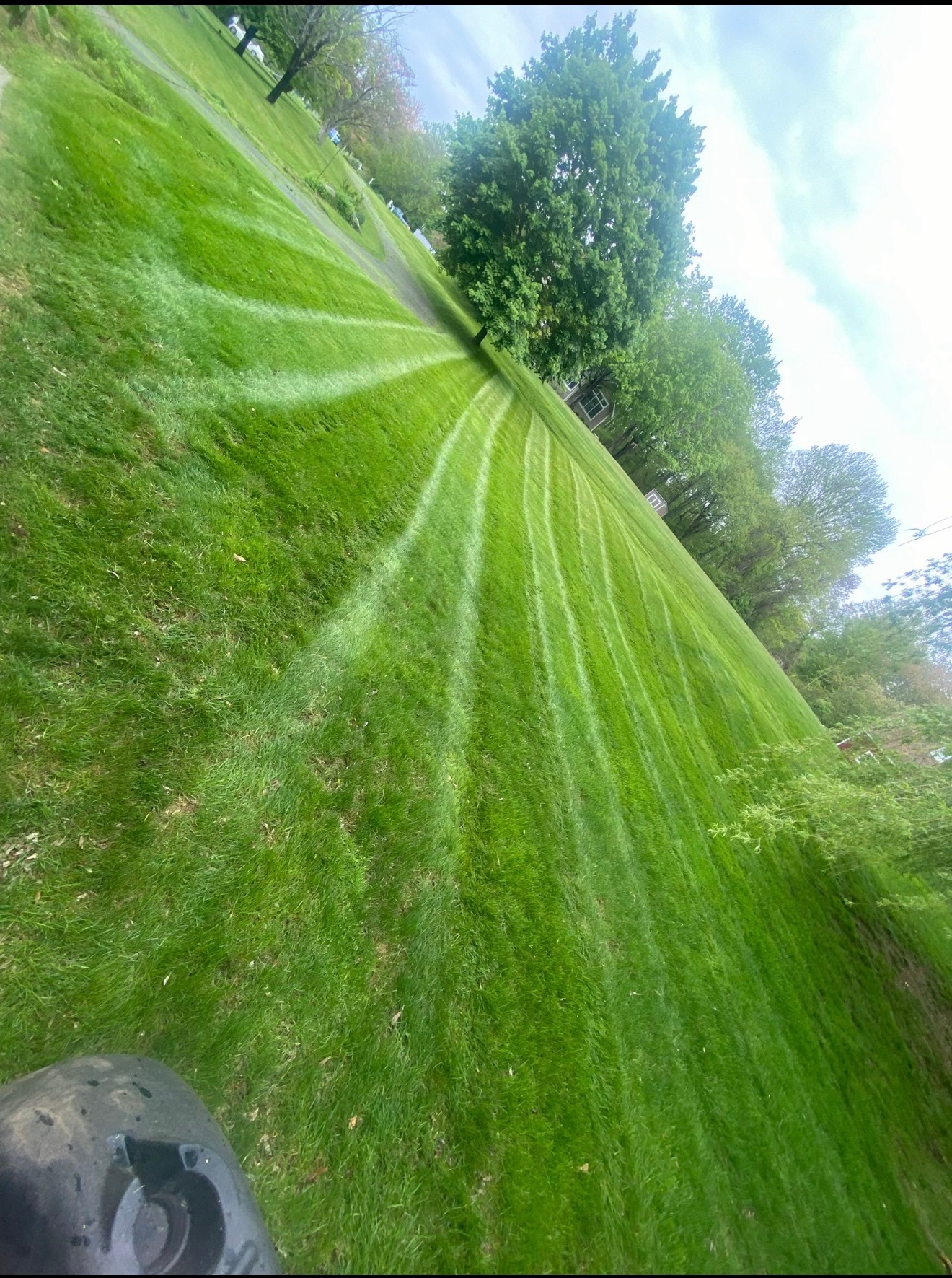 Green grassy field with curved mower stripes and trees along the edge