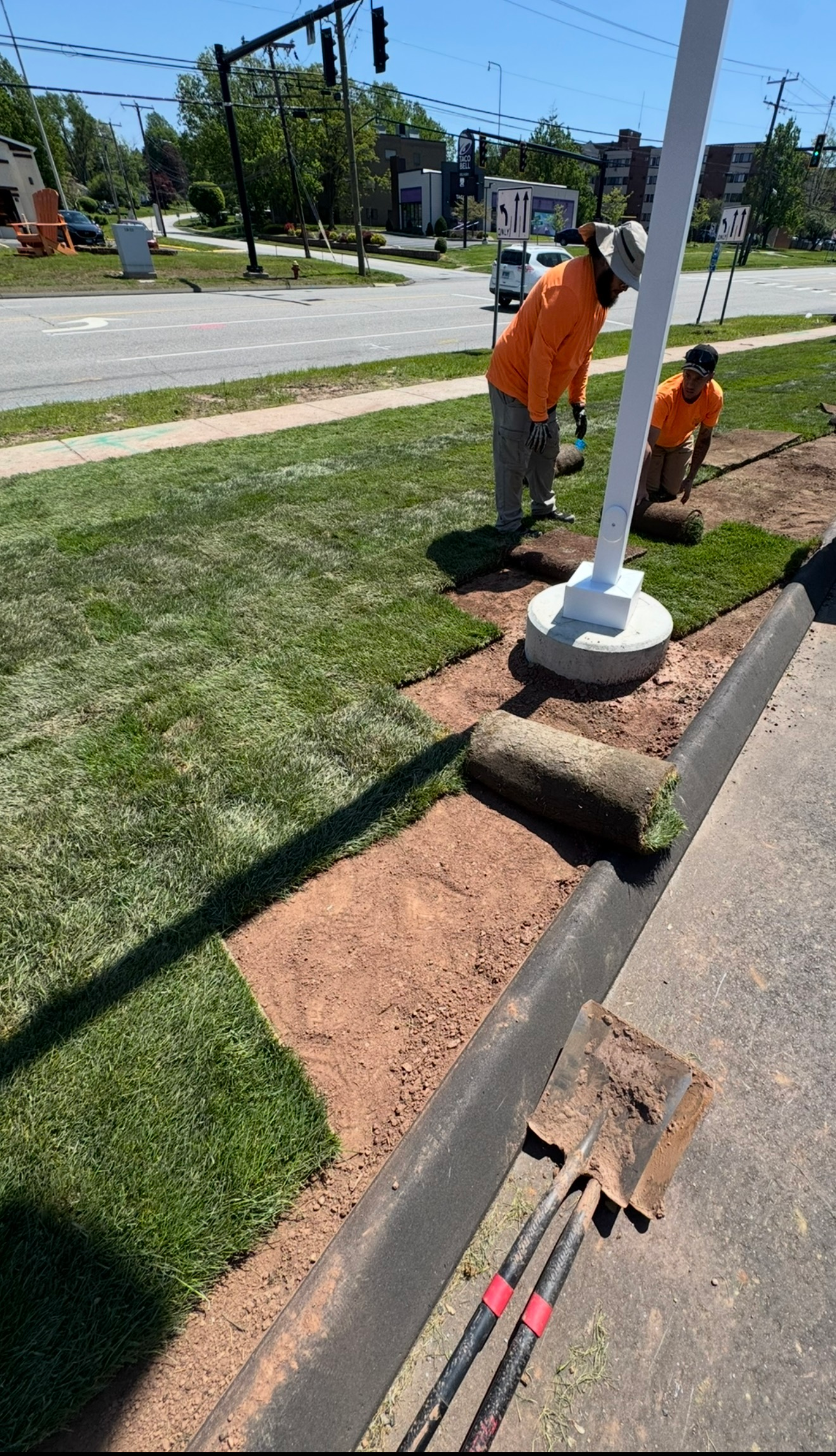 Workers in orange vests installing a white pole beside a grassy roadside sidewalk.