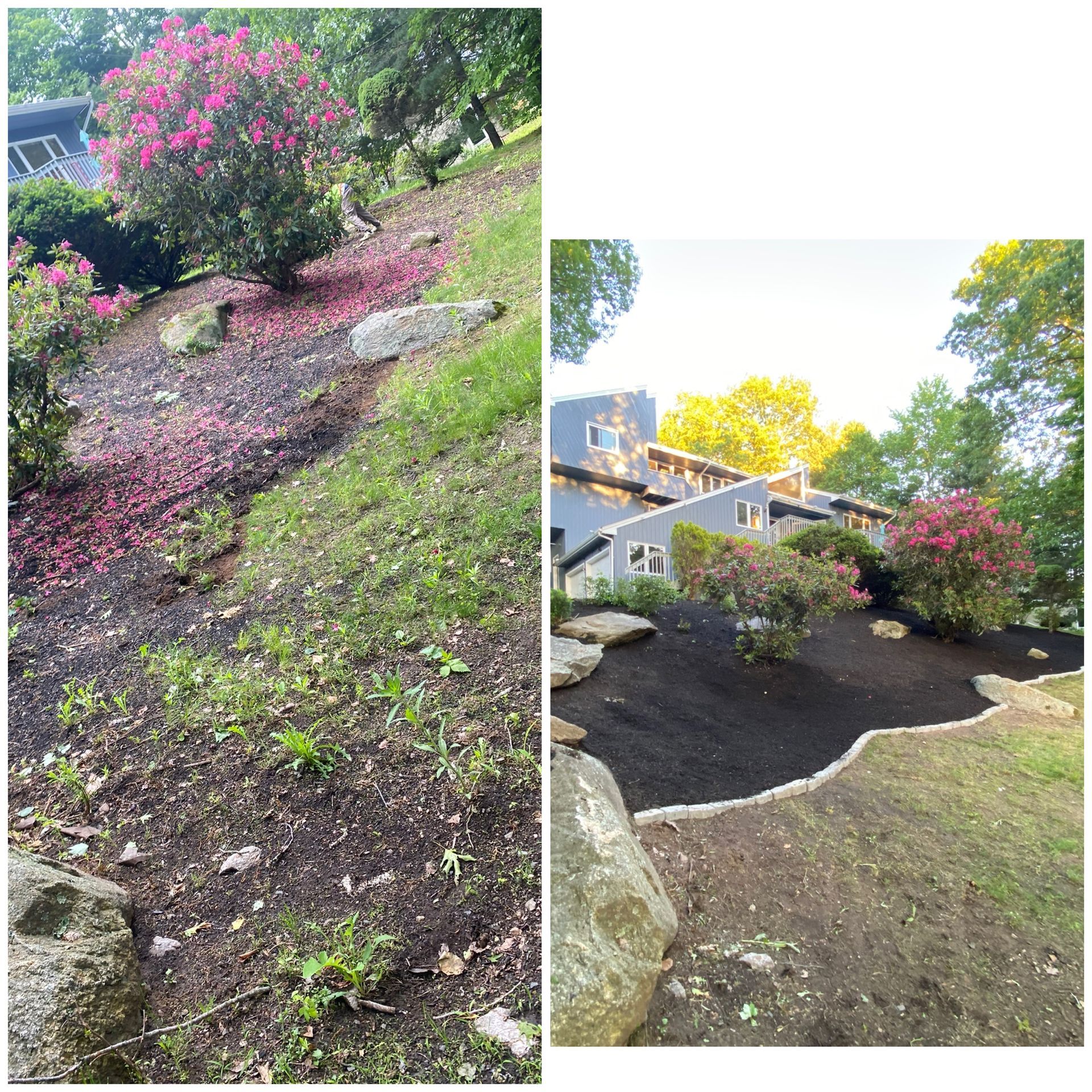 Two views of a sloped garden bed with fresh mulch, stepping stones, and a blooming pink shrub near a house
