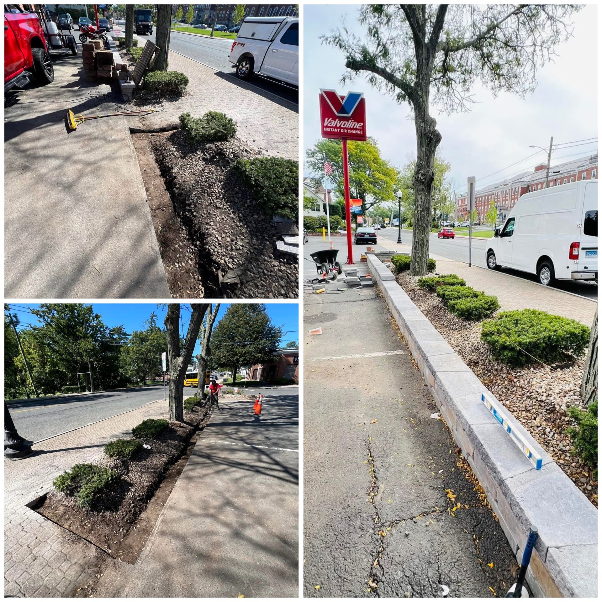 Sidewalk and curb repairs beside a busy street, with fresh soil, plants, and a white van parked nearby.