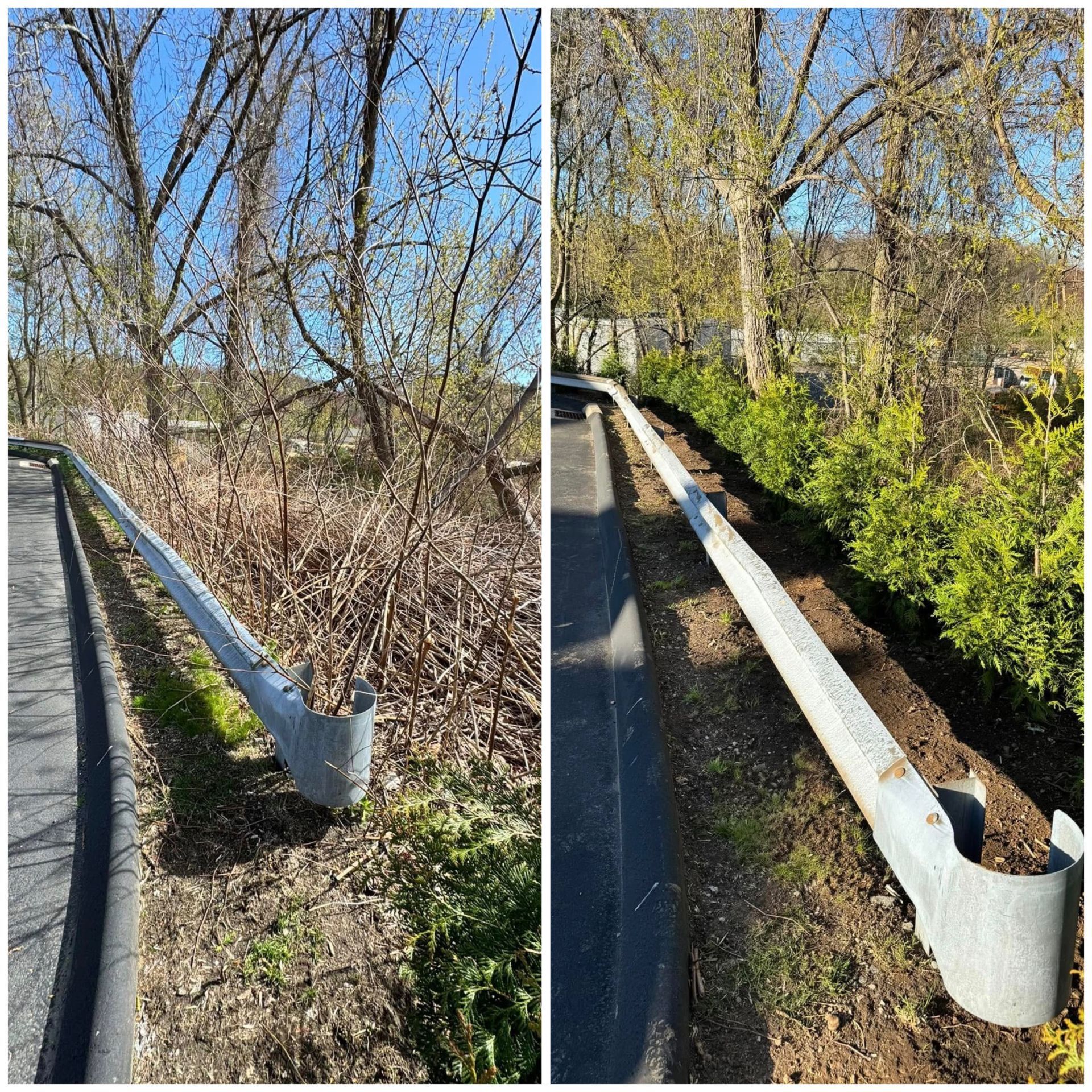Roadside metal guardrail along a paved path beside leafless trees and shrubs on a sunny day