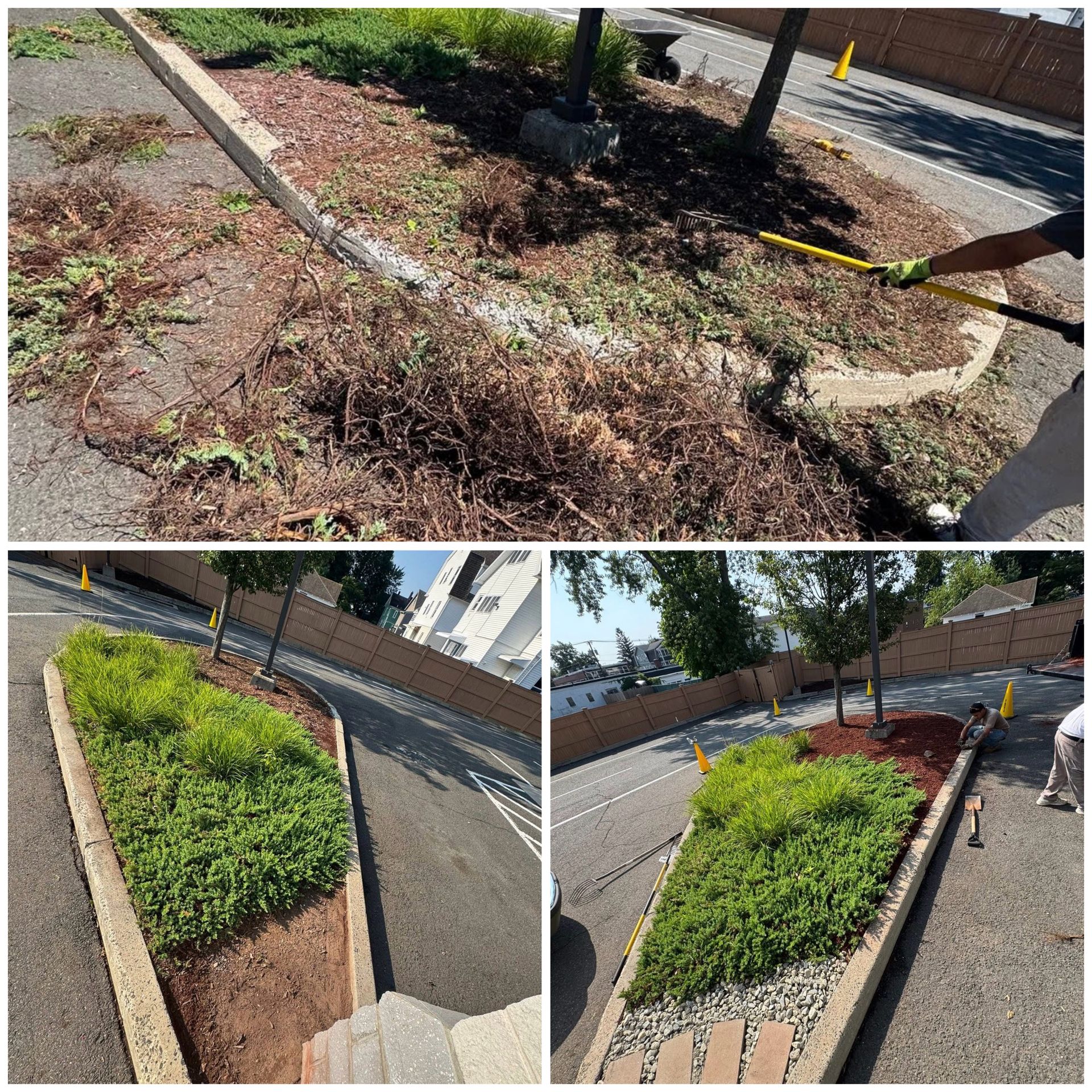 Collage of a sidewalk planter bed with mulch, small shrubs, and a yellow curb marking along the edge