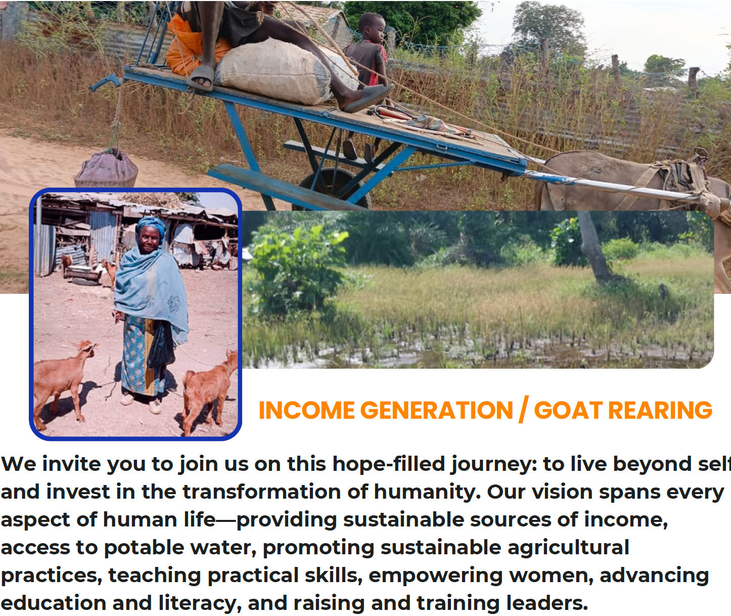 Income Generation