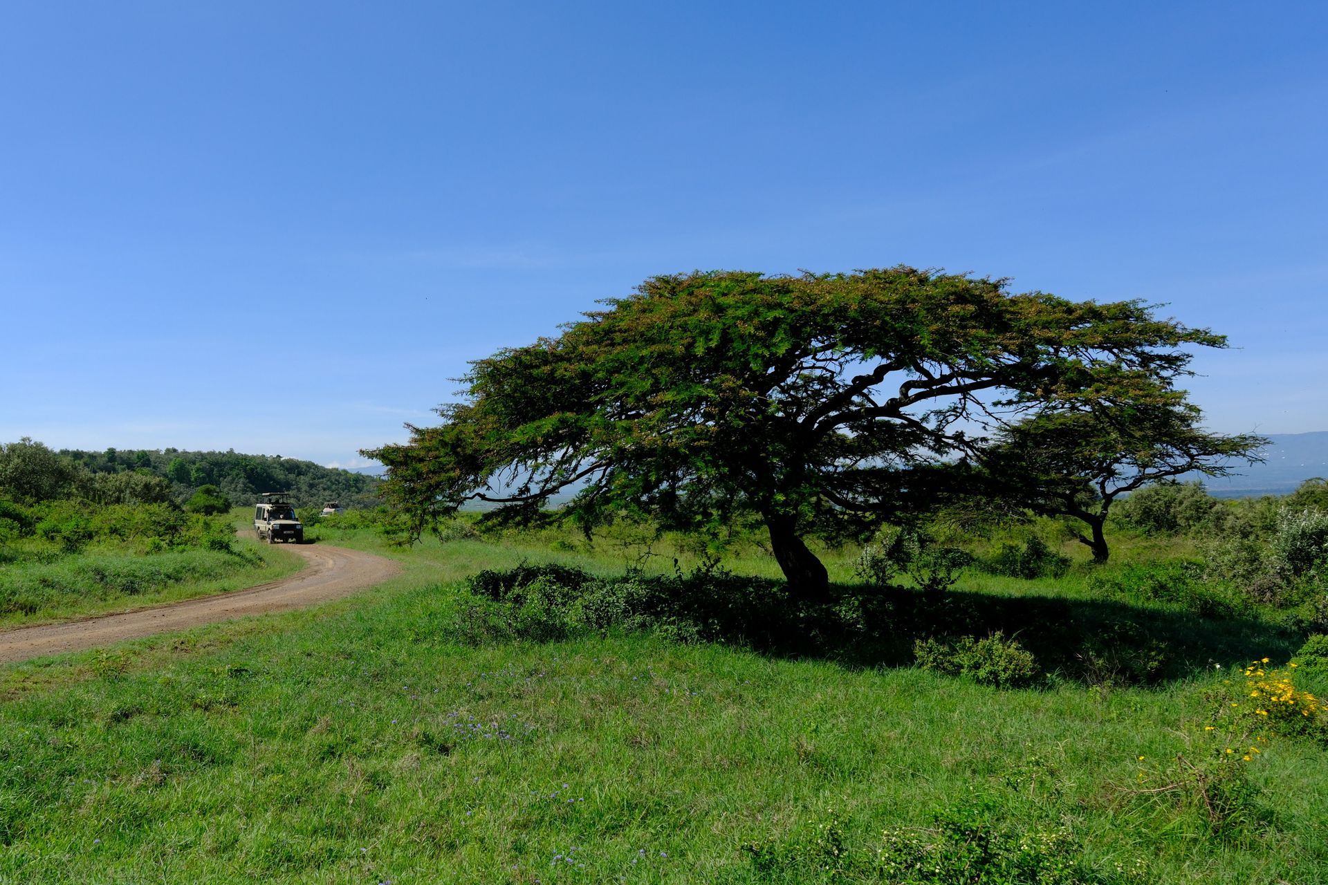 Kenya