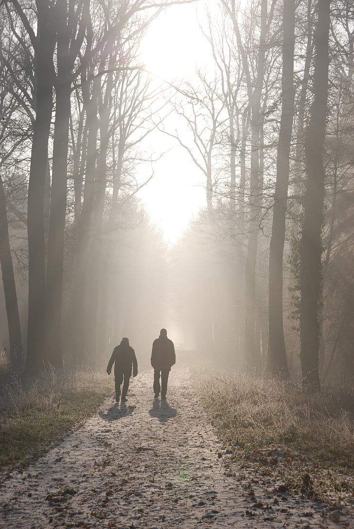 Two people walk along a sunlit forest path with bare trees and morning fog.