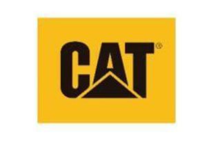Un logotipo de gato amarillo y negro sobre un fondo blanco.