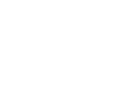 EHO LOGO
