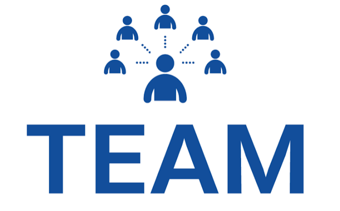 TEAM network logo