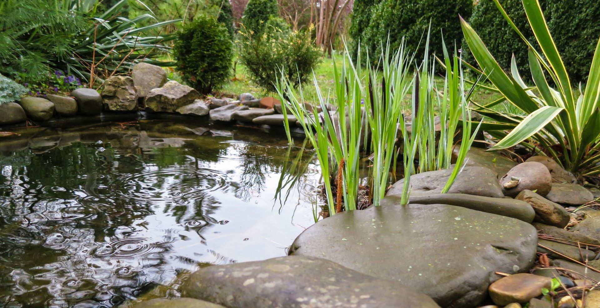 Garden Pond With Still Water, Rocks, and Tall Green Plants — On The Mark Landscaping in Branyan, QLD