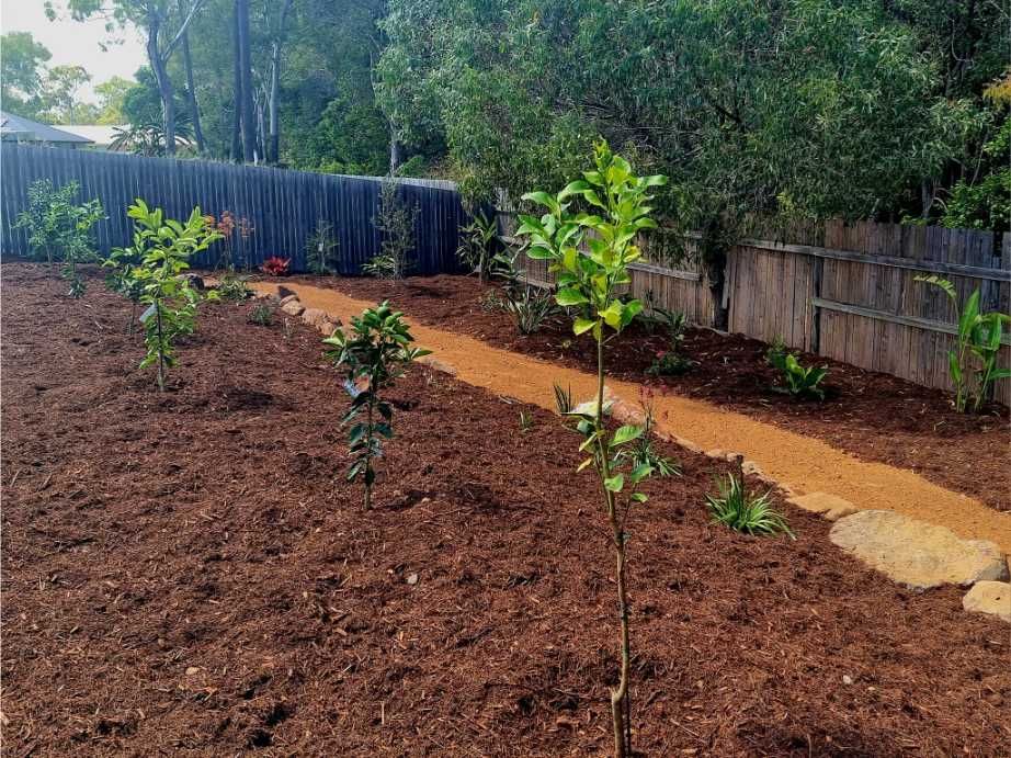 A Garden With Young Trees, a Path, and Brown Mulch. Trees Sit in Neat Rows — On The Mark Landscaping in Branyan, QLD