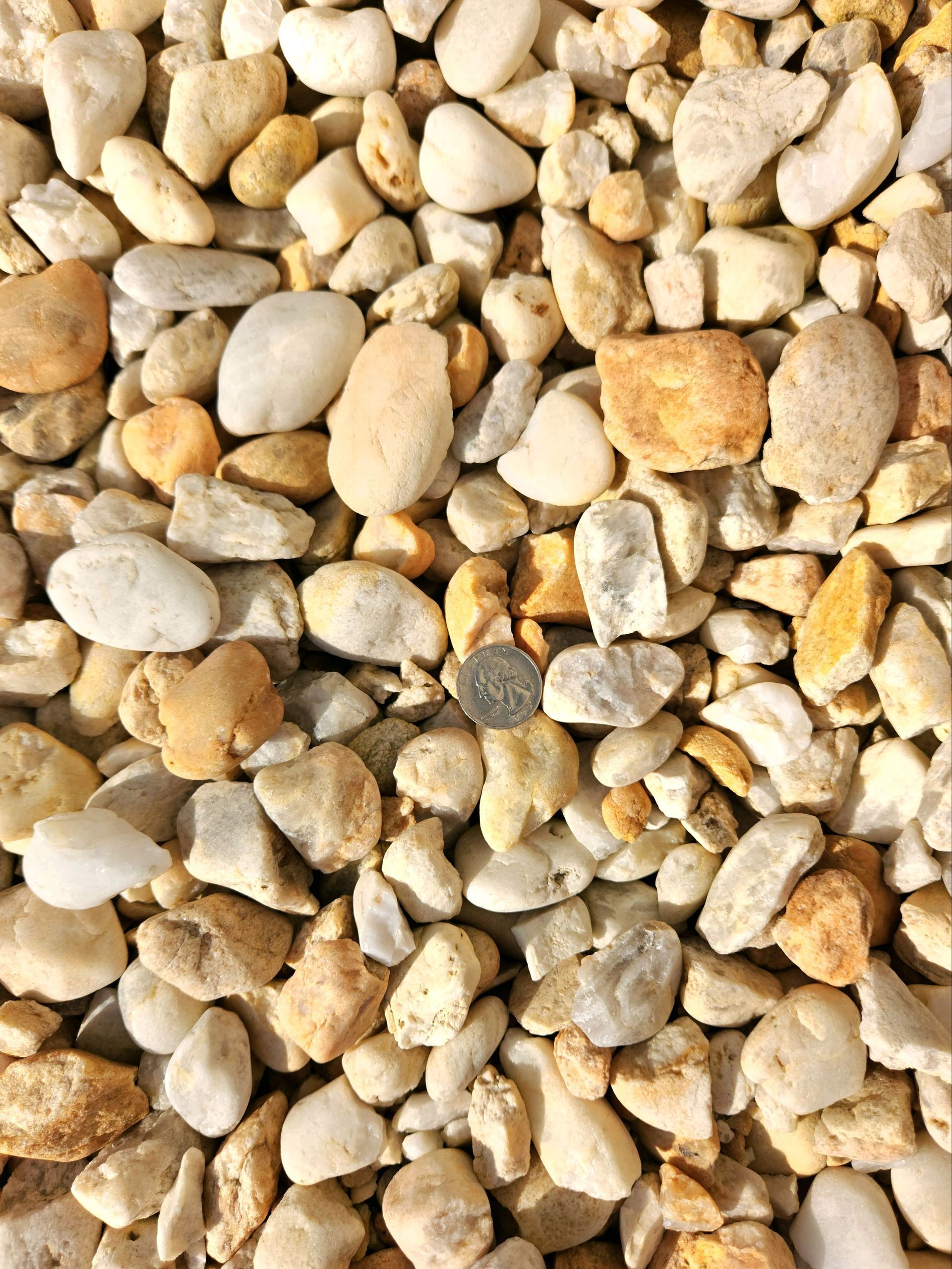maryland seashore