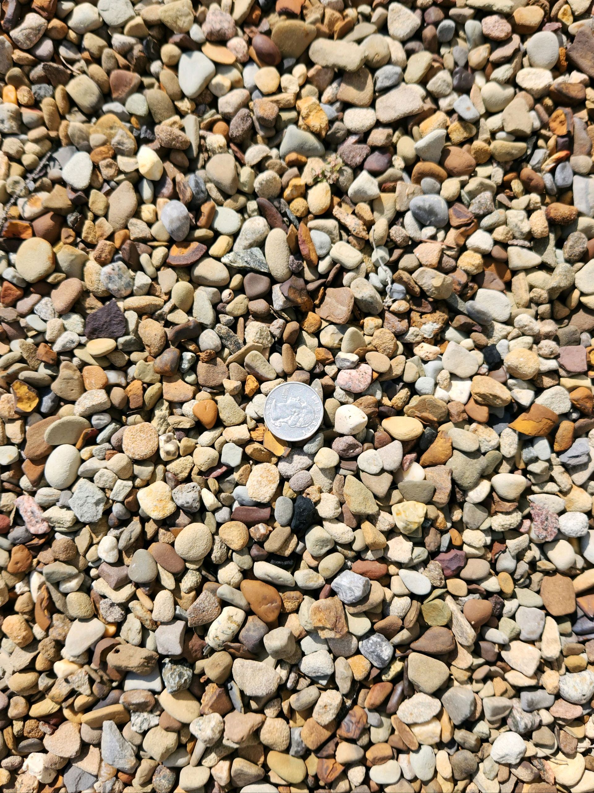 pea gravel