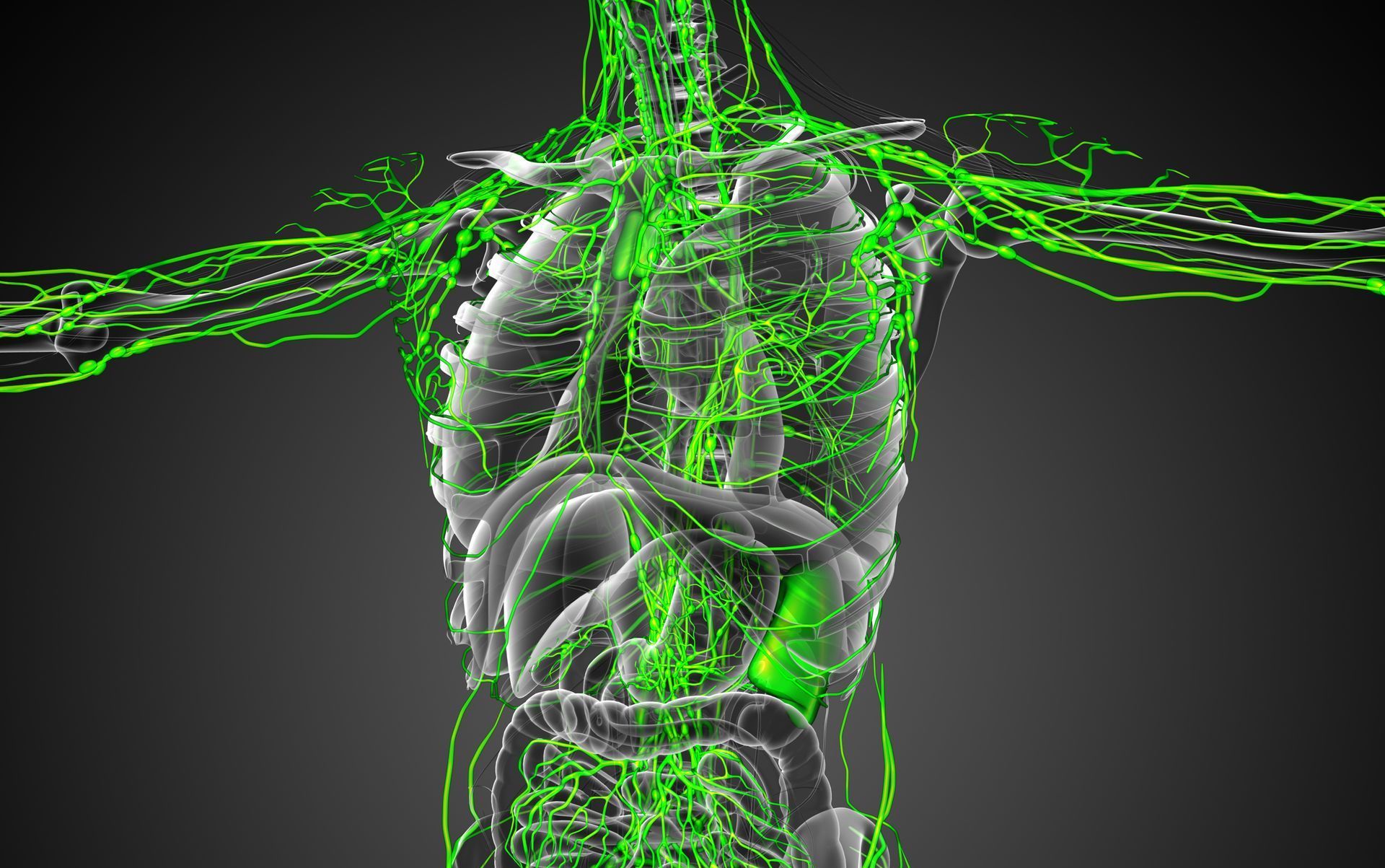 linfoterapia