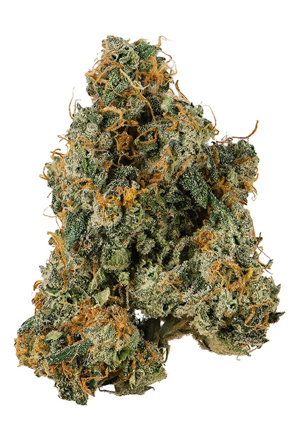 Ecto Cooler Strain Proper Cannabis