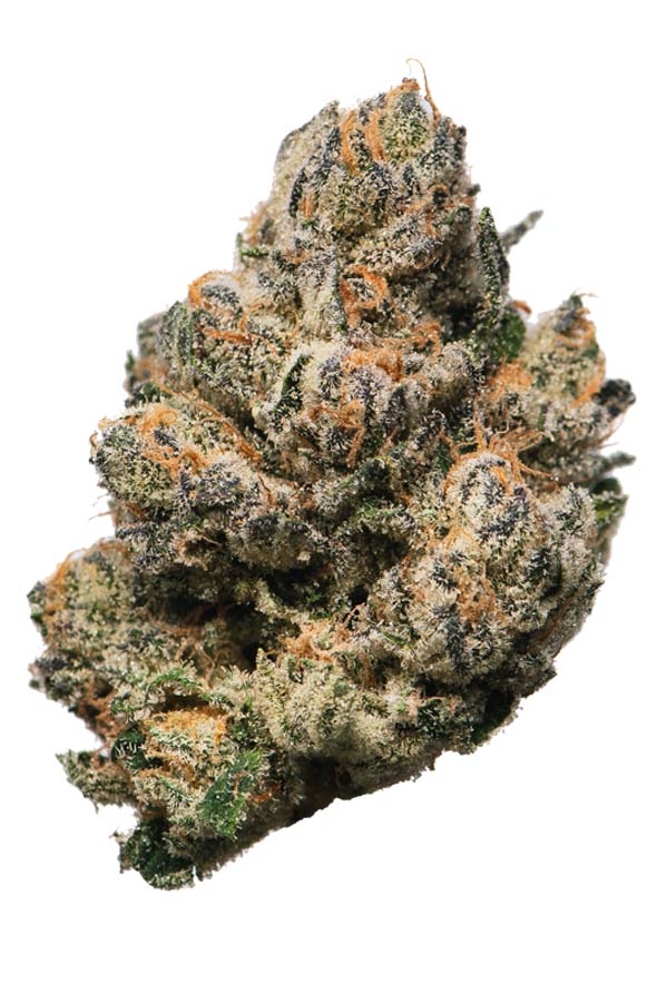 LA Kush Cake Strain Proper Cannabis