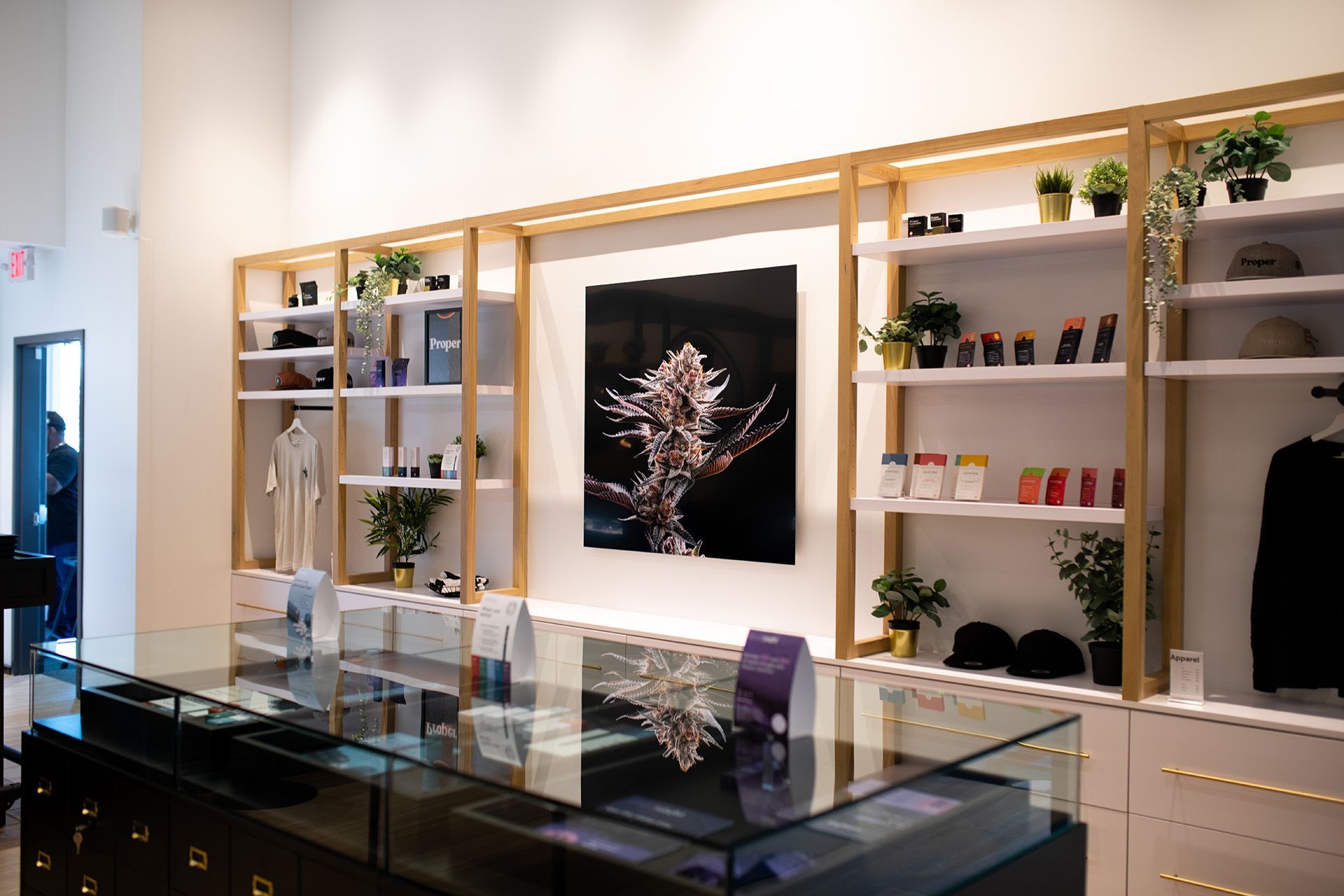Modern retail display with glass cases, white shelves, plants, and a framed abstract artwork on the wall
