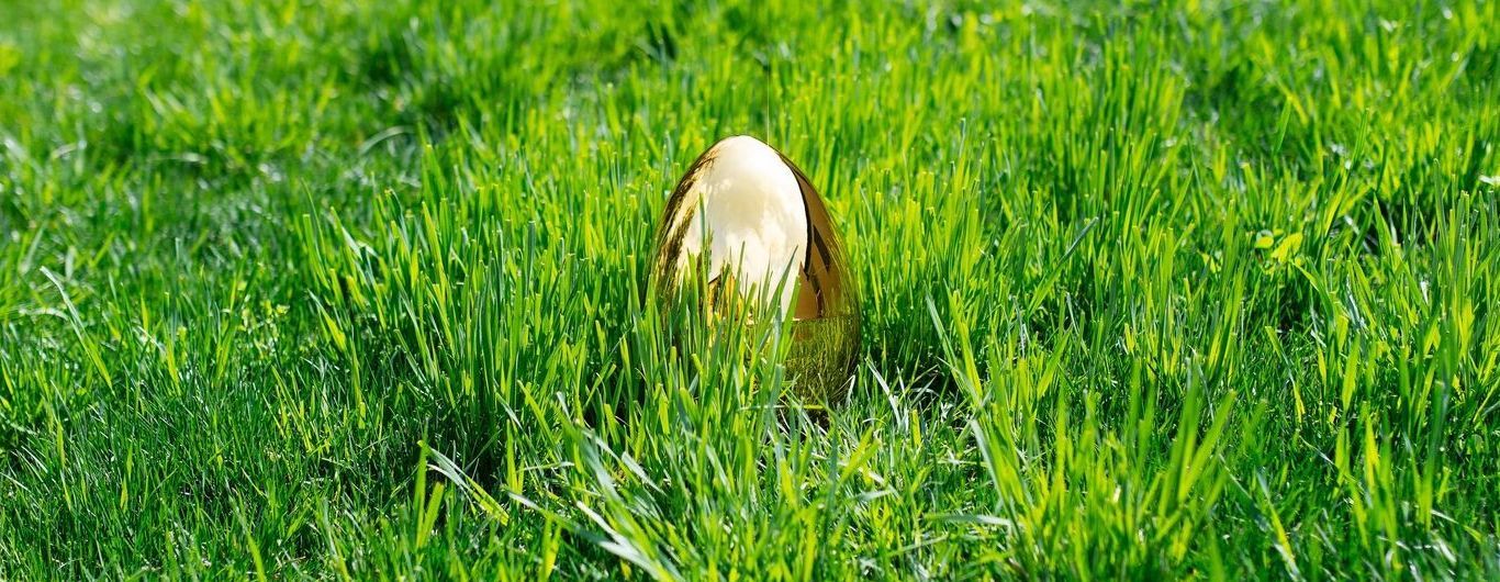 A white mushroom sprouting from bright green grass