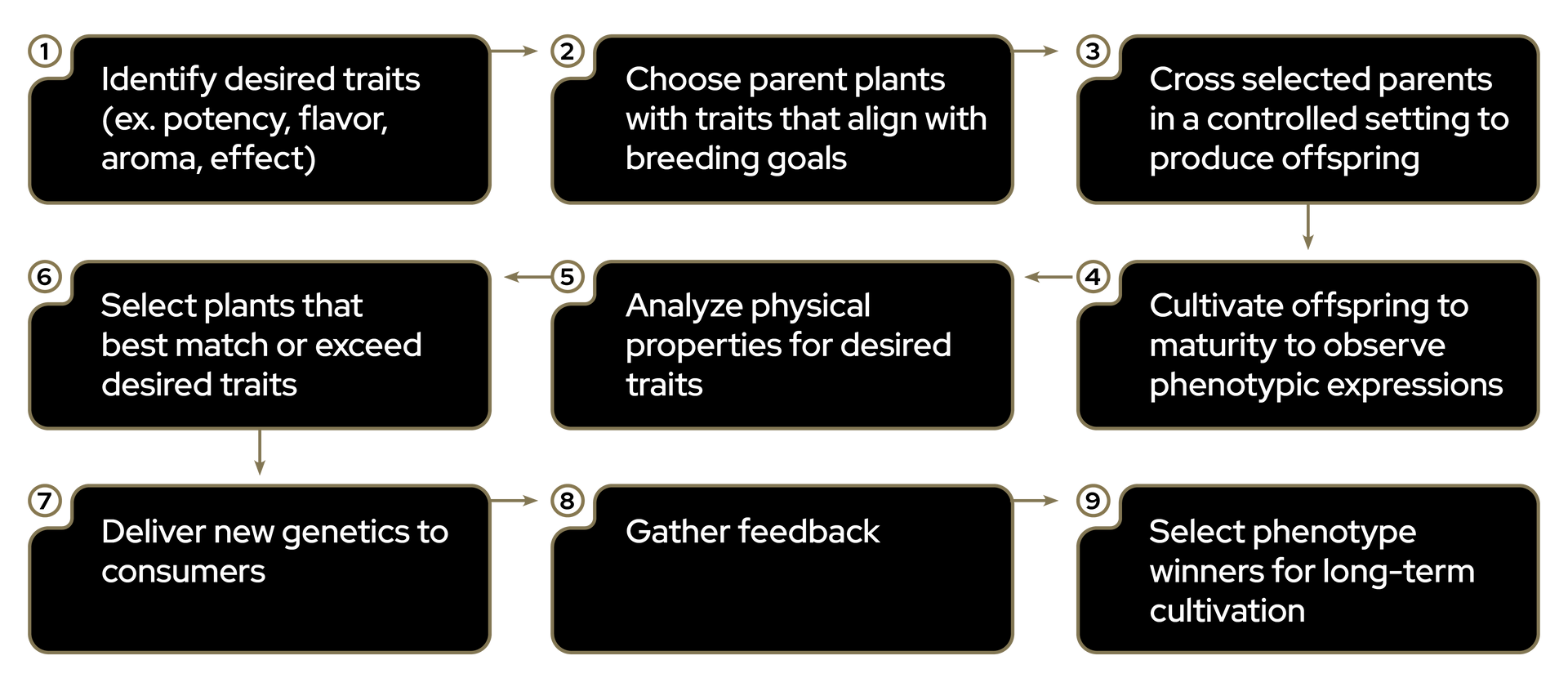 Black flowchart with white text boxes connected by lines, outlining a customer service and feedback process.