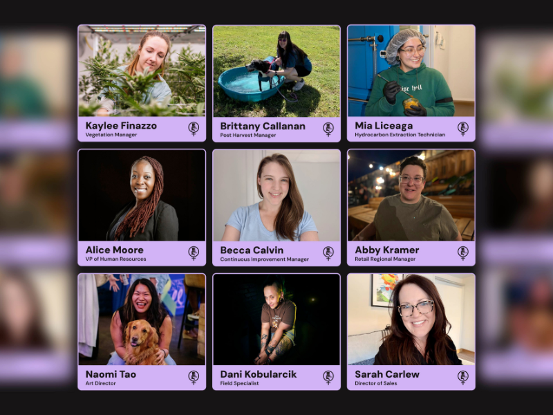 Nine-person video call grid with name labels and assorted profile photos in purple-framed tiles