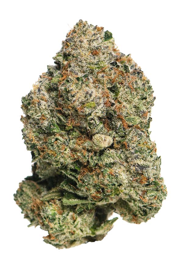 White Wine Strain Proper Cannabis