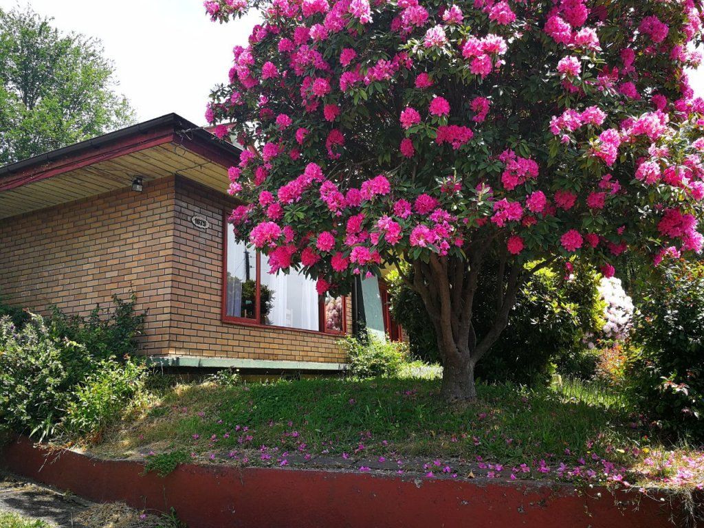 Hostal Ruta 5 Sur