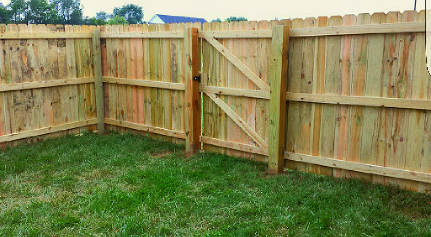 Wooden fence with a gate in a grassy backyard.