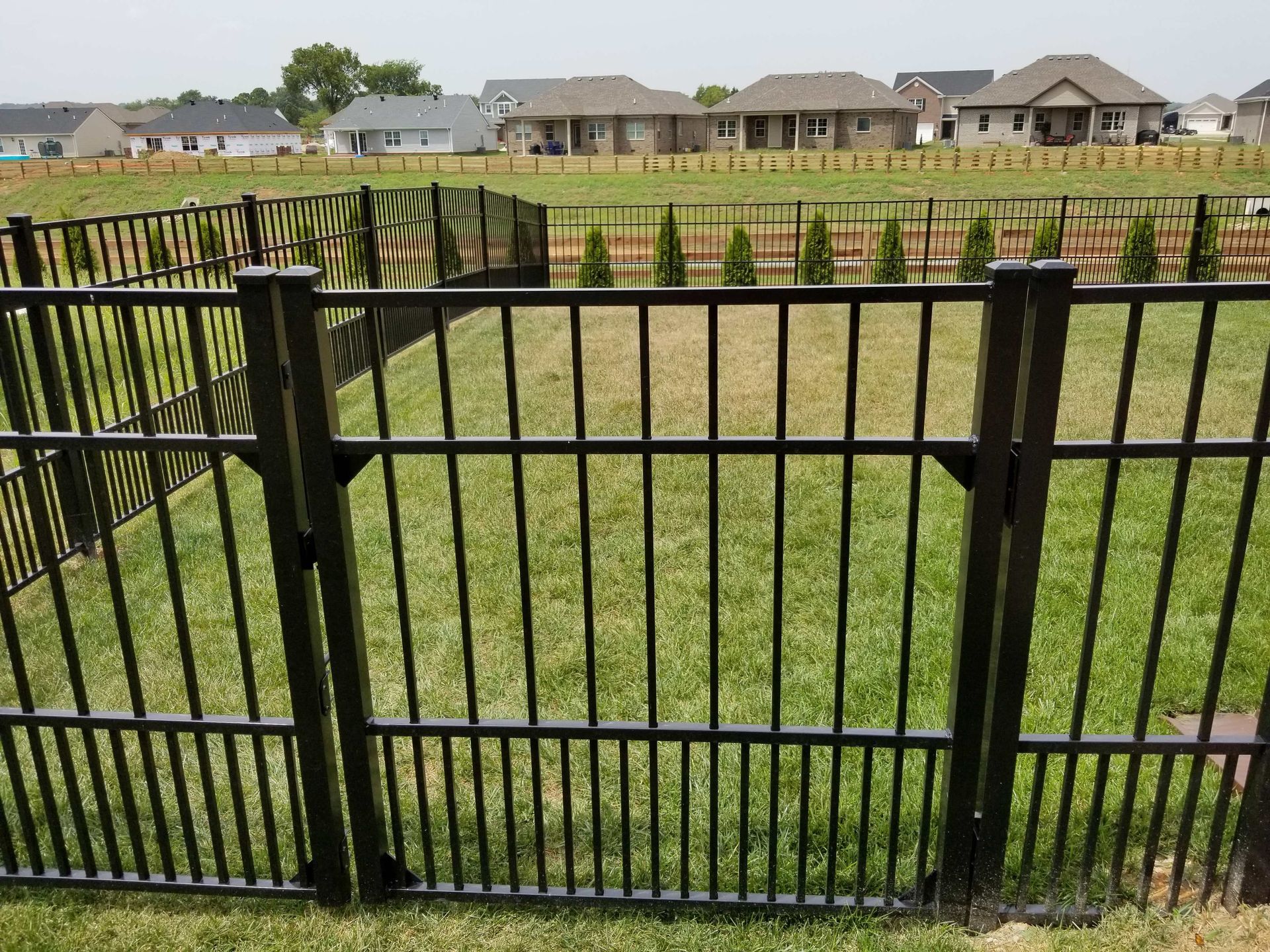 Black metal fence surrounding a grassy yard, with houses in the background.