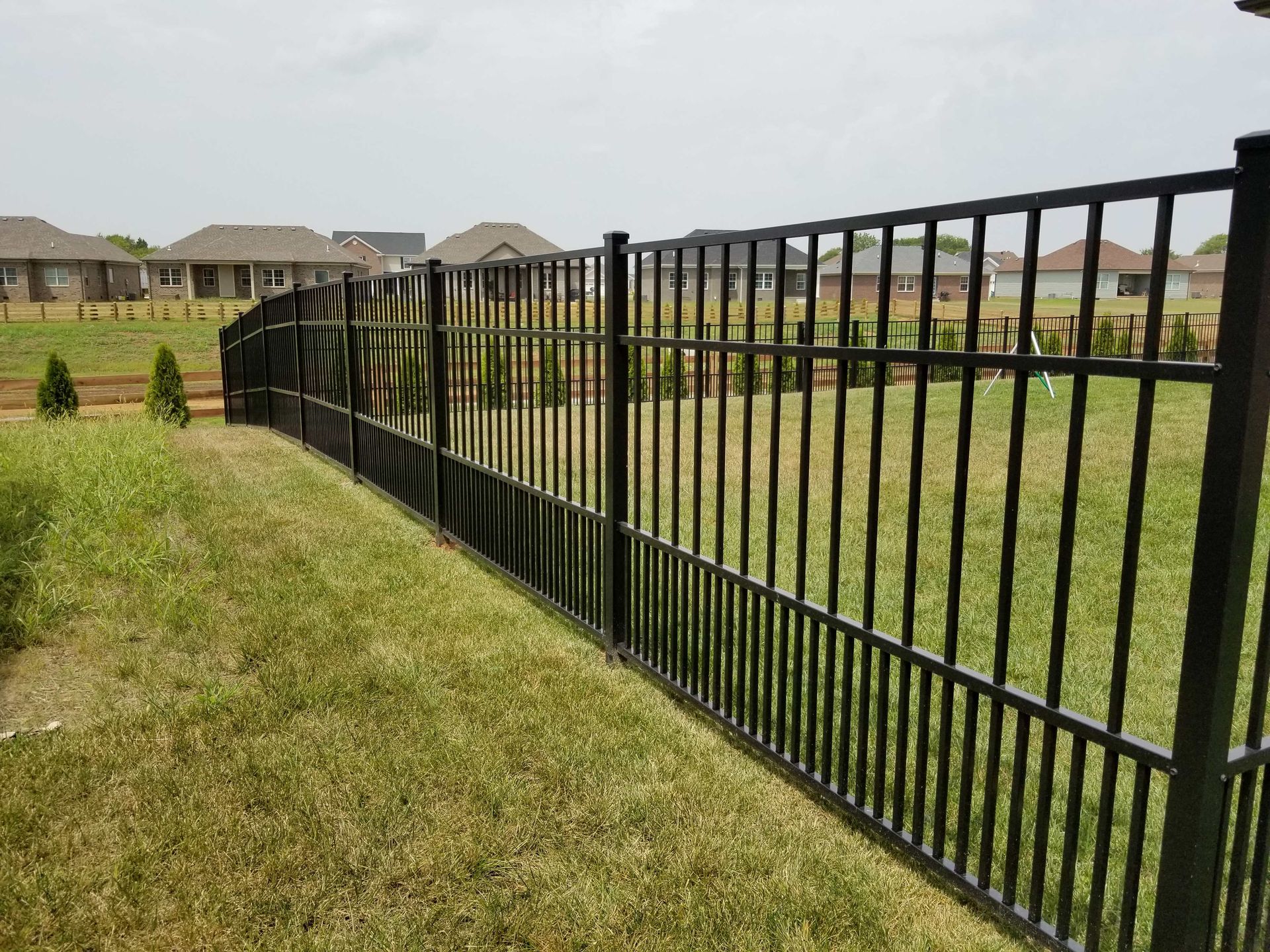 Black metal fence curves along green grass, houses in the background.