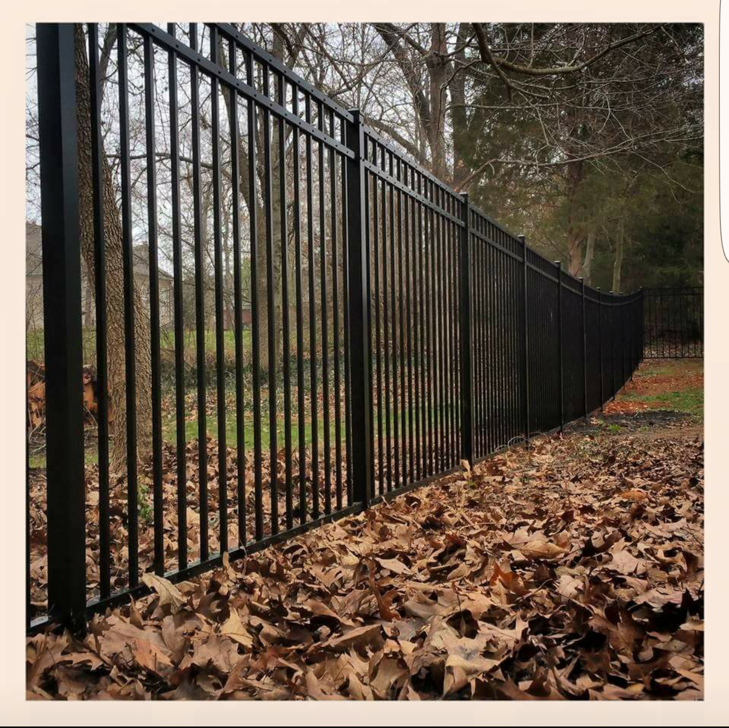 Black metal fence in autumn, with fallen leaves on the ground.