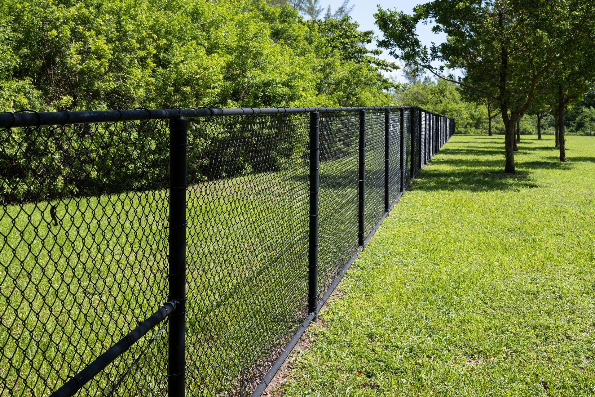 black chain link fence in park surrounded by green grass.