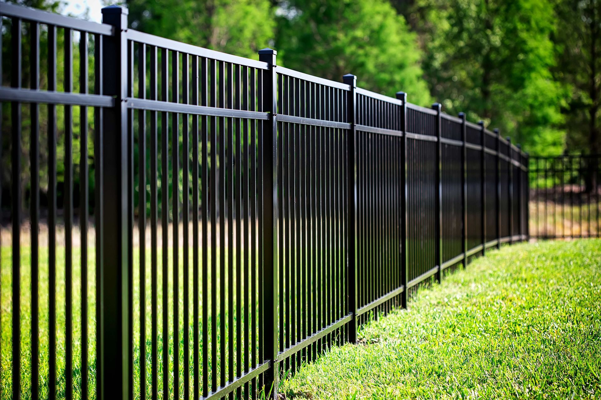 Black flat-top aluminum fence lining a manicured green lawn with lush trees in the background