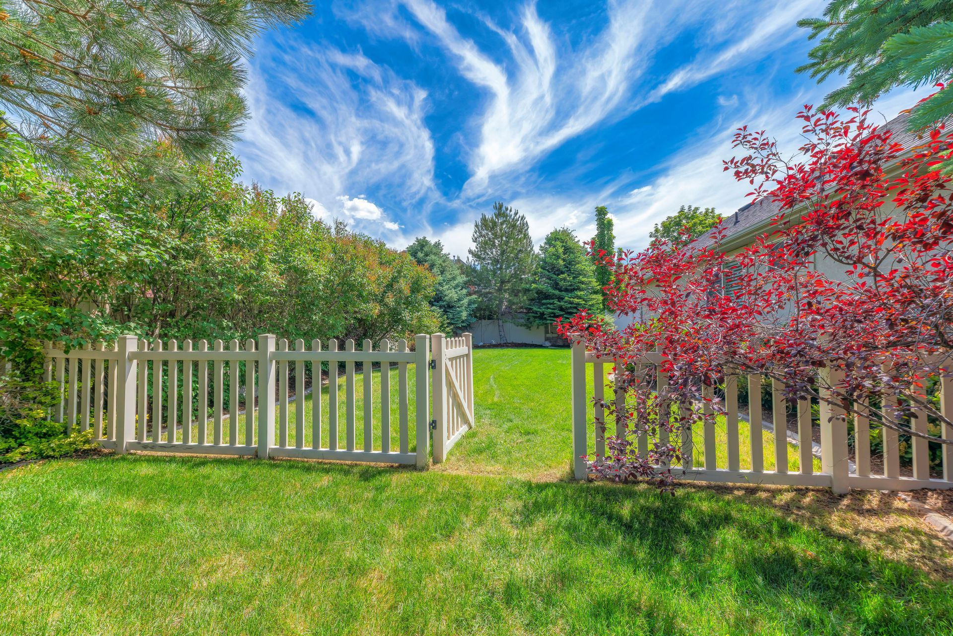 White picket fence and gate around a green backyard lawn with trees and blue sky