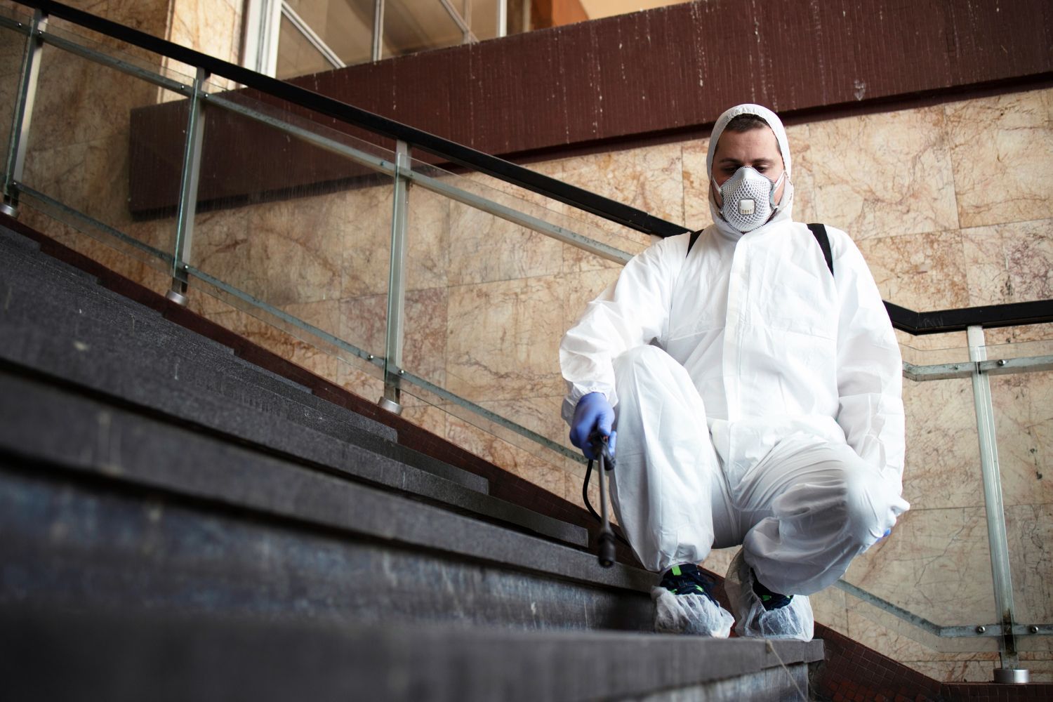 mold inspection