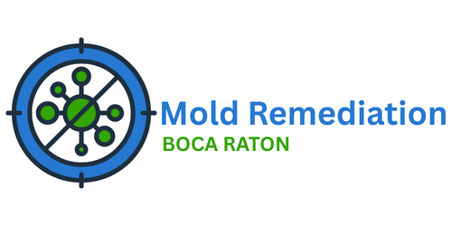 Mold Removal Boca Raton FL | Inspection, Testing & Remediation Services