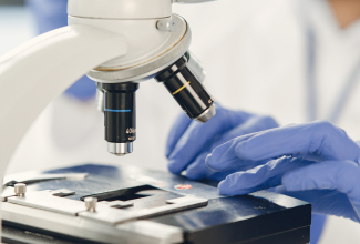 Surface samples being evaluated in a lab under a microscope for a mold remediation company.