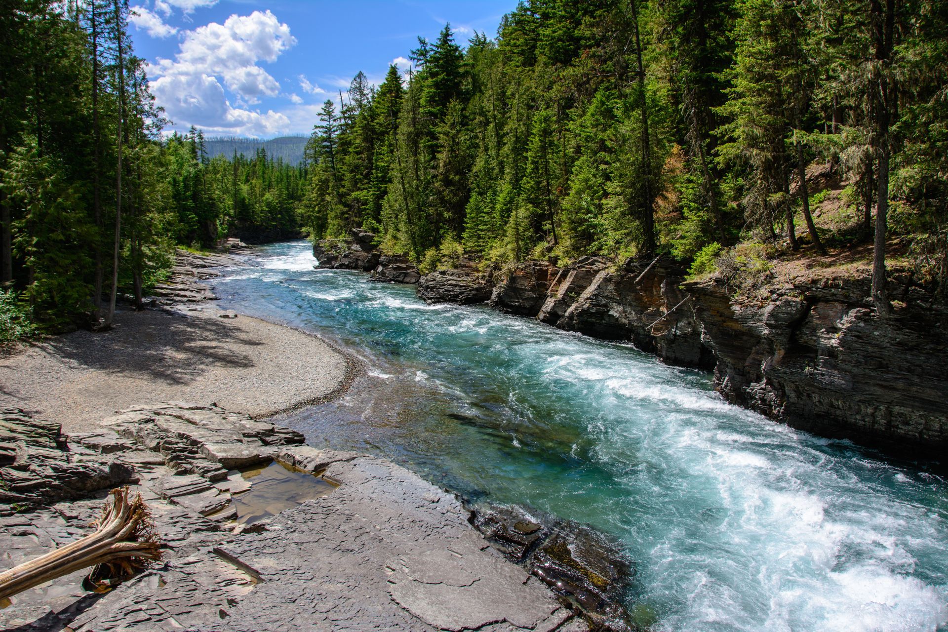 Flathead River