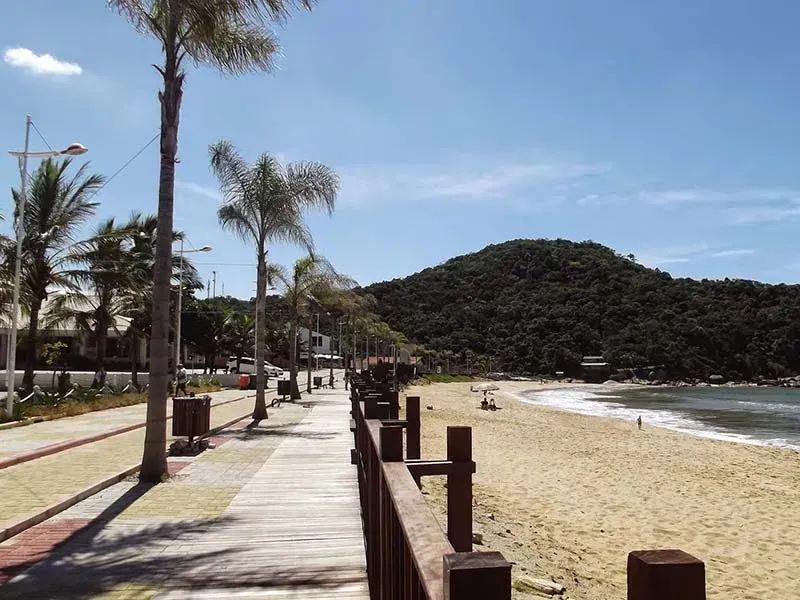 Uma passarela de madeira que leva a uma praia com palmeiras