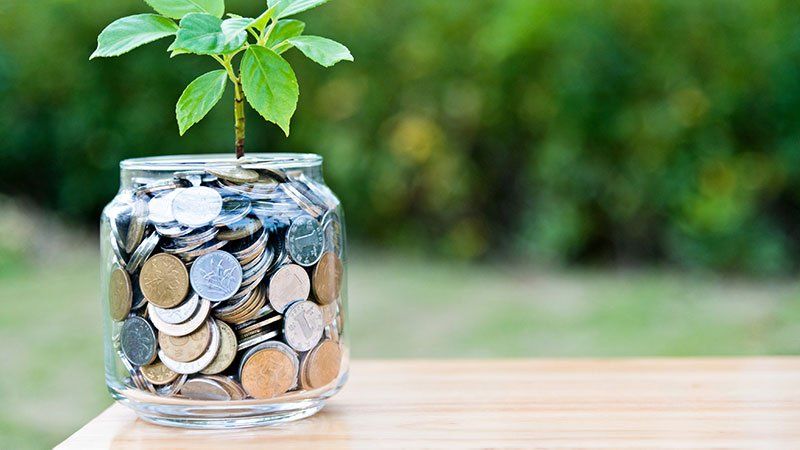 plant growing out of a jar of coins