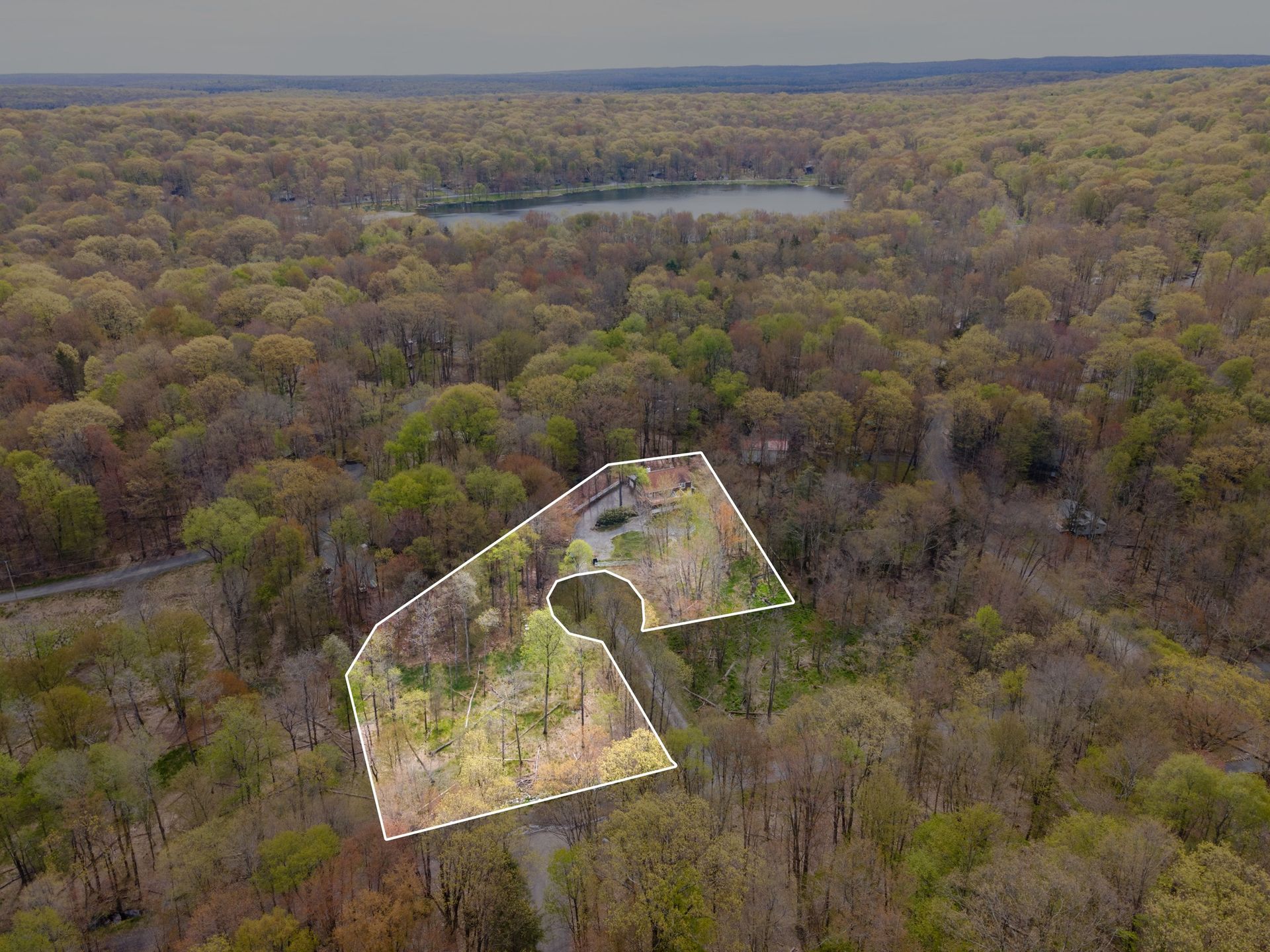 An aerial view of a lush green forest with a lake in the background.