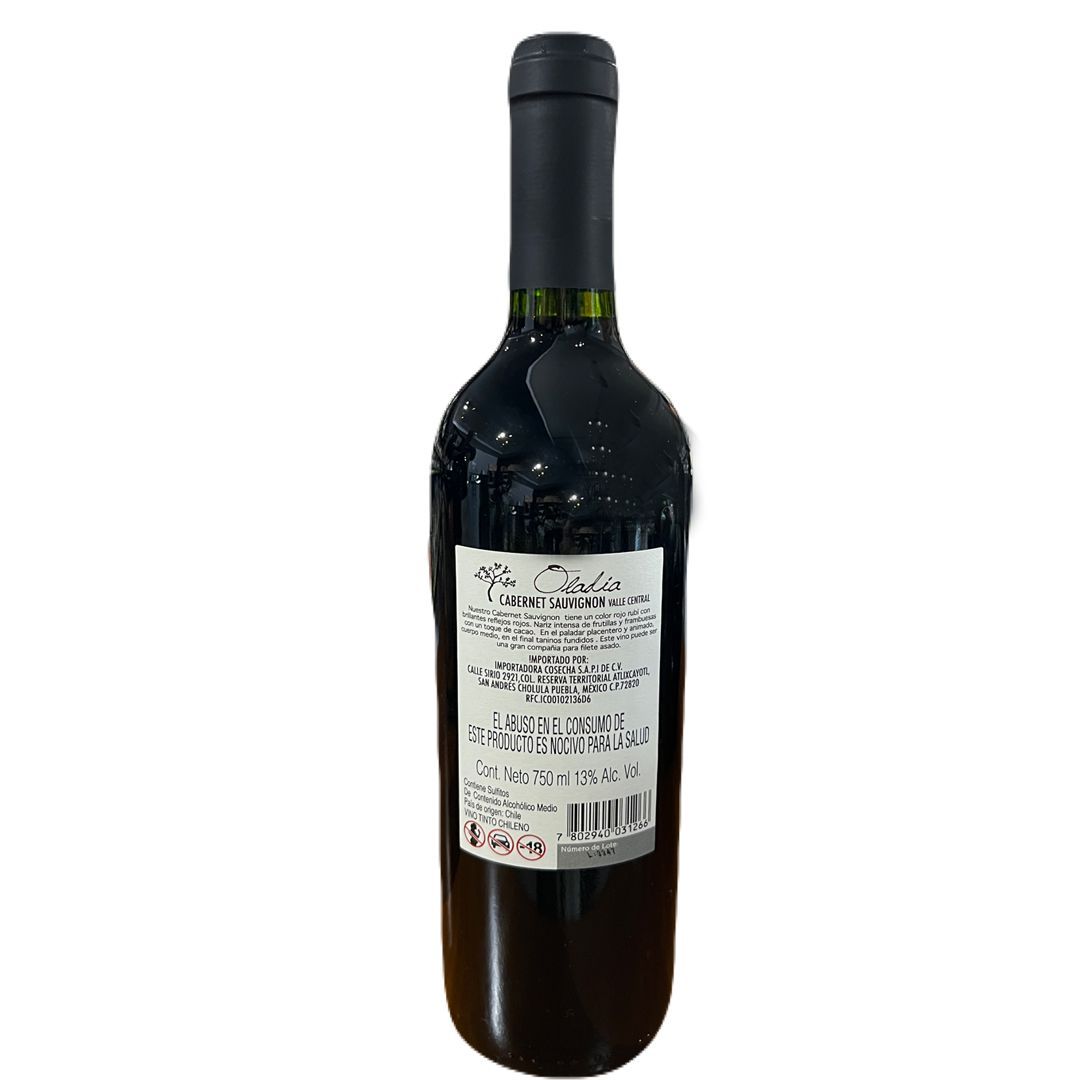 VINOLANDIA