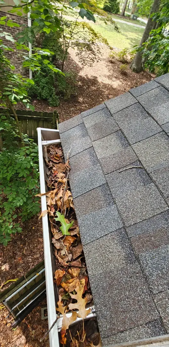 A gutter filled with leaves on a roof, with a wooded area in the background.