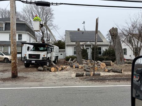Utility workers trimming a tree beside a white truck in a yard with rubble and a house nearby