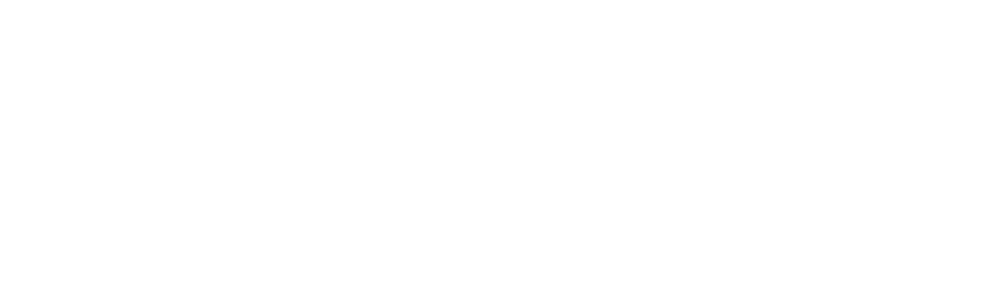 All white Chase Insurance Services logo.